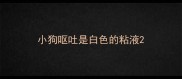 小狗呕吐是白色的粘液