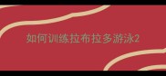 如何训练拉布拉多游泳