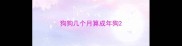 狗狗几个月算成年狗