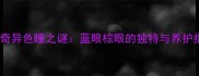 哈士奇异色瞳之谜蓝眼棕眼的独特与养护指南