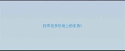 拉布拉多吃地上的东西