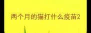 两个月的猫打什么疫苗