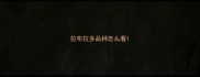 拉布拉多品种怎么看