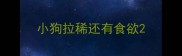 小狗拉稀还有食欲