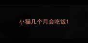 小猫几个月会吃饭