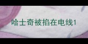 哈士奇被掐在电线