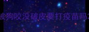 被狗咬没破皮要打疫苗吗