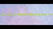 猫咪涨奶硬块怎么办新手必看哺乳期紧急处理指南附专业兽医建议