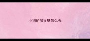 小狗的屎很臭怎么办