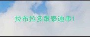 拉布拉多跟泰迪串