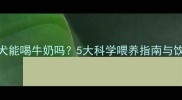 边境牧羊犬能喝牛奶吗5大科学喂养指南与饮用禁忌全