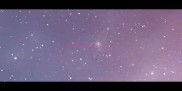 给猫咪体检多少钱