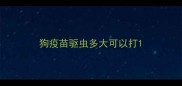 狗疫苗驱虫多大可以打