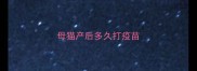 母猫产后多久打疫苗