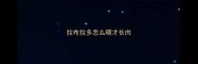 拉布拉多怎么喂才长肉