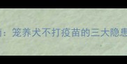 科学养宠指南笼养犬不打疫苗的三大隐患与应对方案