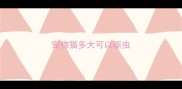 宠物猫多大可以驱虫