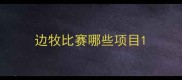 边牧比赛哪些项目
