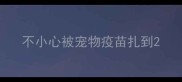 不小心被宠物疫苗扎到