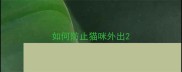 如何防止猫咪外出