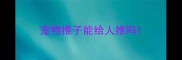 宠物推子能给人推吗