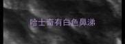 哈士奇有白色鼻涕