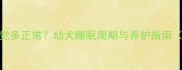4个月大小狗睡觉多正常幼犬睡眠周期与养护指南附科学数据