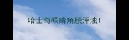 哈士奇眼睛角膜浑浊