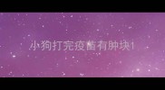 小狗打完疫苗有肿块