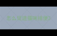 怎么促进猫咪排便