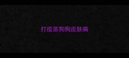 打疫苗狗狗皮肤病