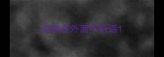 边牧在外面不听话