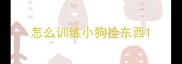 怎么训练小狗捡东西
