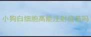 小狗白细胞高能注射疫苗吗