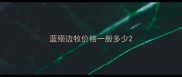 蓝殒边牧价格一般多少