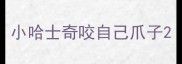 小哈士奇咬自己爪子