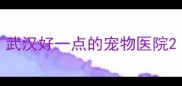 武汉好一点的宠物医院