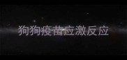 狗狗疫苗应激反应