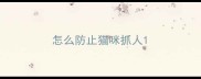 怎么防止猫咪抓人