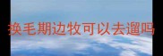 换毛期边牧可以去遛吗
