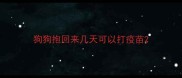 狗狗抱回来几天可以打疫苗