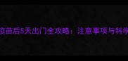 狗狗打完疫苗后5天出门全攻略注意事项与科学防护指南