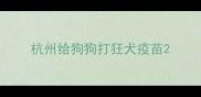 杭州给狗狗打狂犬疫苗
