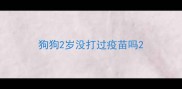 狗狗2岁没打过疫苗吗
