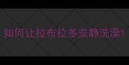 如何让拉布拉多安静洗澡