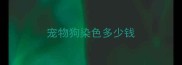 宠物狗染色多少钱