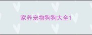 家养宠物狗狗大全