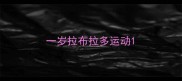 一岁拉布拉多运动
