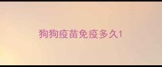 狗狗疫苗免疫多久
