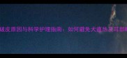 边牧耳朵破皮原因与科学护理指南如何避免犬瘟热及耳部畸形风险
